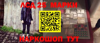 гашик Кулебаки
