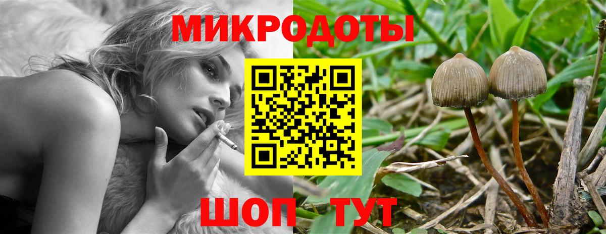 Галлюциногенные грибы MAGIC MUSHROOMS Ивантеевка